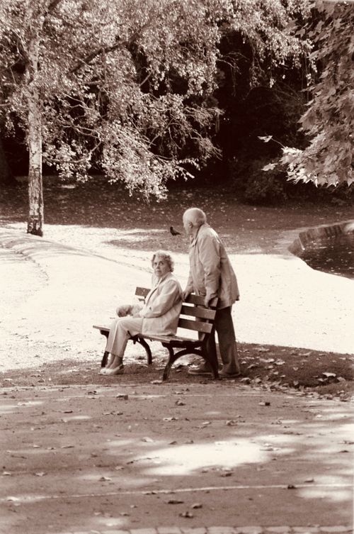 Free Sepia photo of an elderly couple relaxing on a park bench, symbolizing love and tranquility. Stock Photo