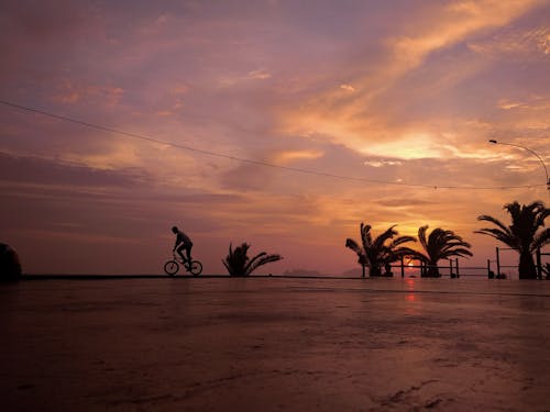 Man on Bike near Palm Trees at Sunset