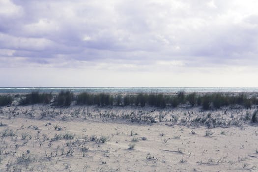 Serene sandy beach with grass under a cloudy sky in Moncarapacho, Faro District, Portugal.
