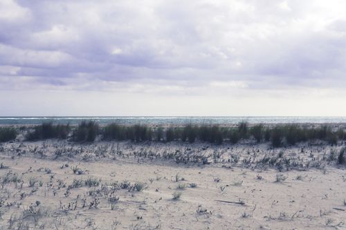 Free Serene sandy beach with grass under a cloudy sky in Moncarapacho, Faro District, Portugal. Stock Photo