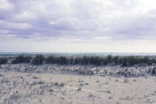 Gratuit Photos gratuites de détente, dune, faire une pause Photos