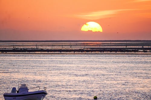 海洋, 漁船, 金色的夕陽 的 免費圖庫相片