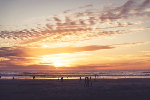 Free stock photo of beach, beach vacation, beachcombing