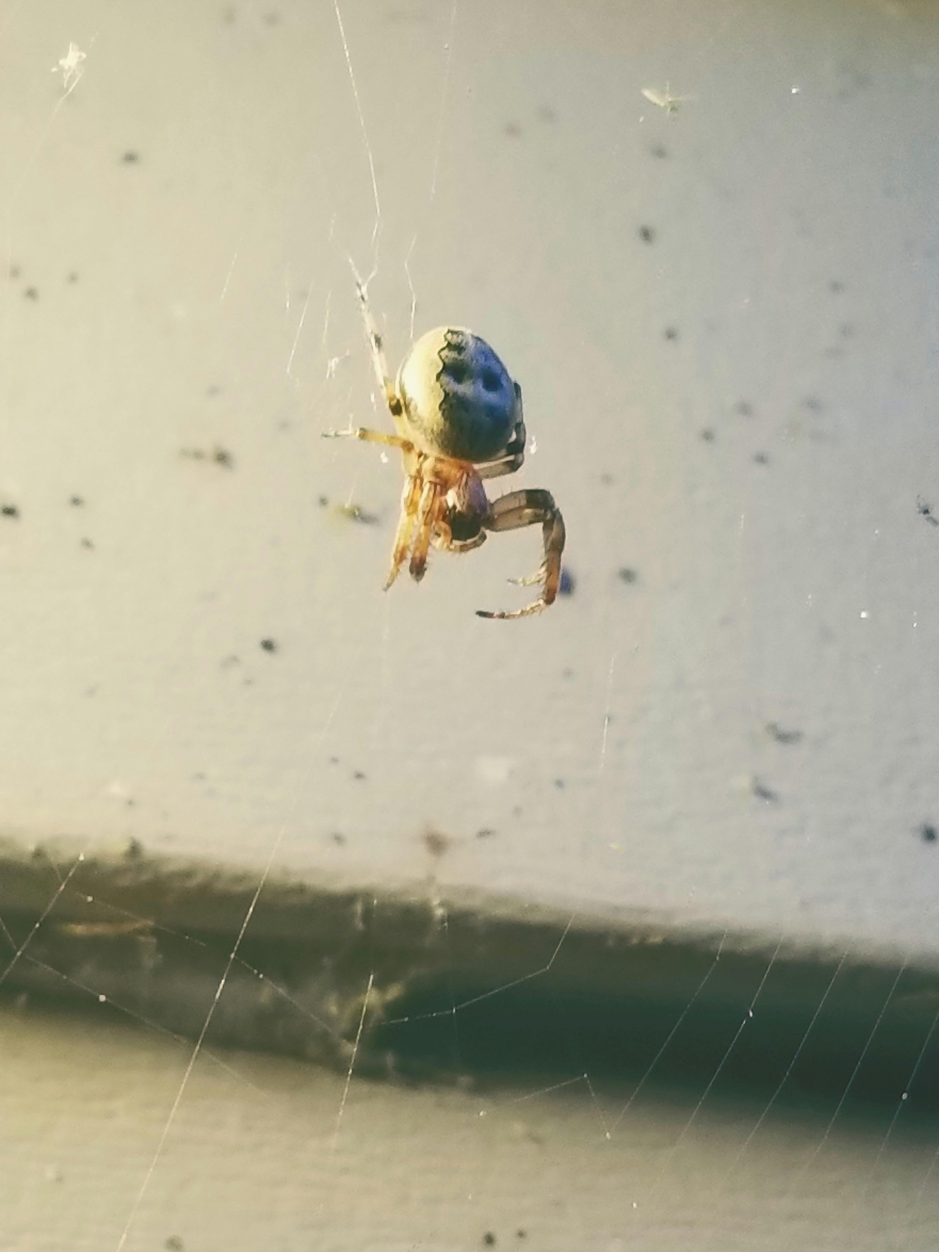 Ümraniye Depo Kiralama Fiyatları