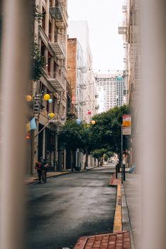 A serene urban alley with vibrant decorations and trees lining the street, creating a charming atmosphere.