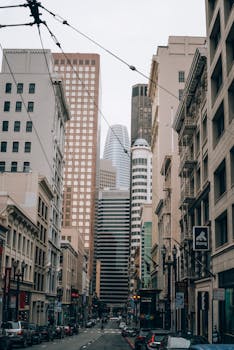 The Reserve of Old Tampa Bay