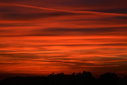 Free stock photo of blood, sunset