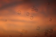 在宁静的日落背景下，精致的肥皂泡漂浮着，营造出梦幻般的氛围