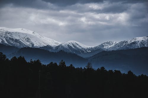 Forest and Mountains behind