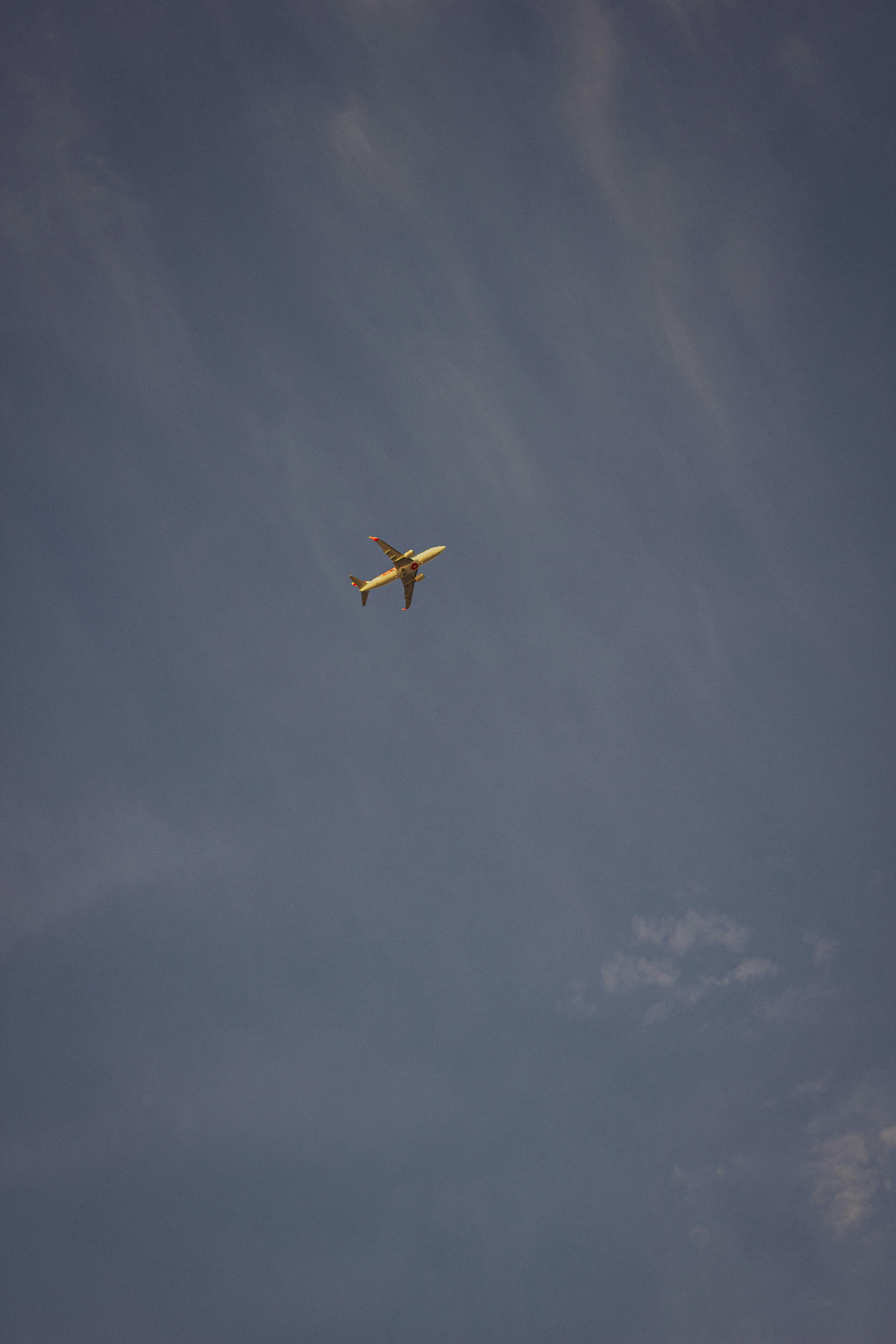 Free stock photo of aircraft wings, blue sky, sky
