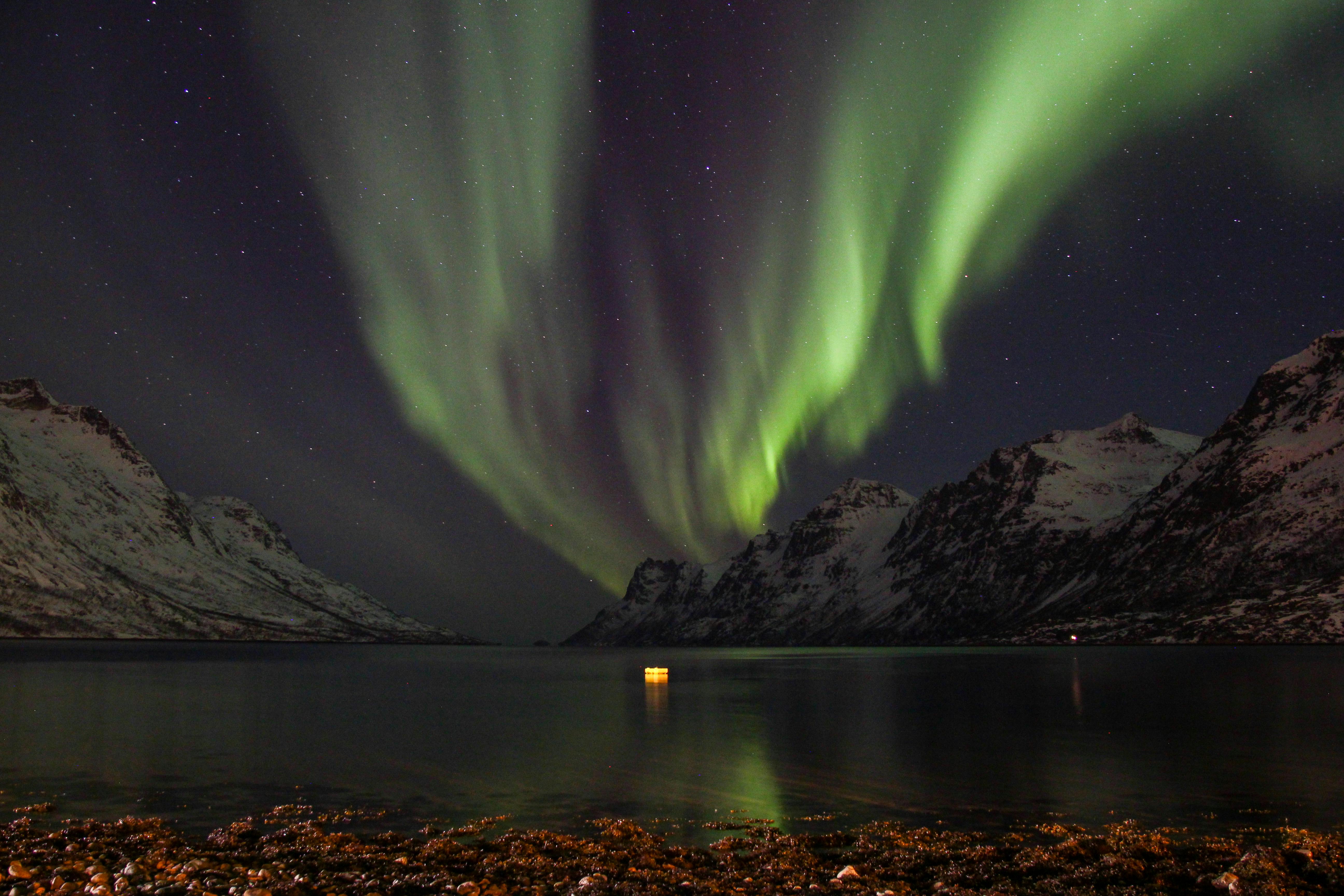 Free Stock Photo Of Aurora Borealis, Christmas, Light