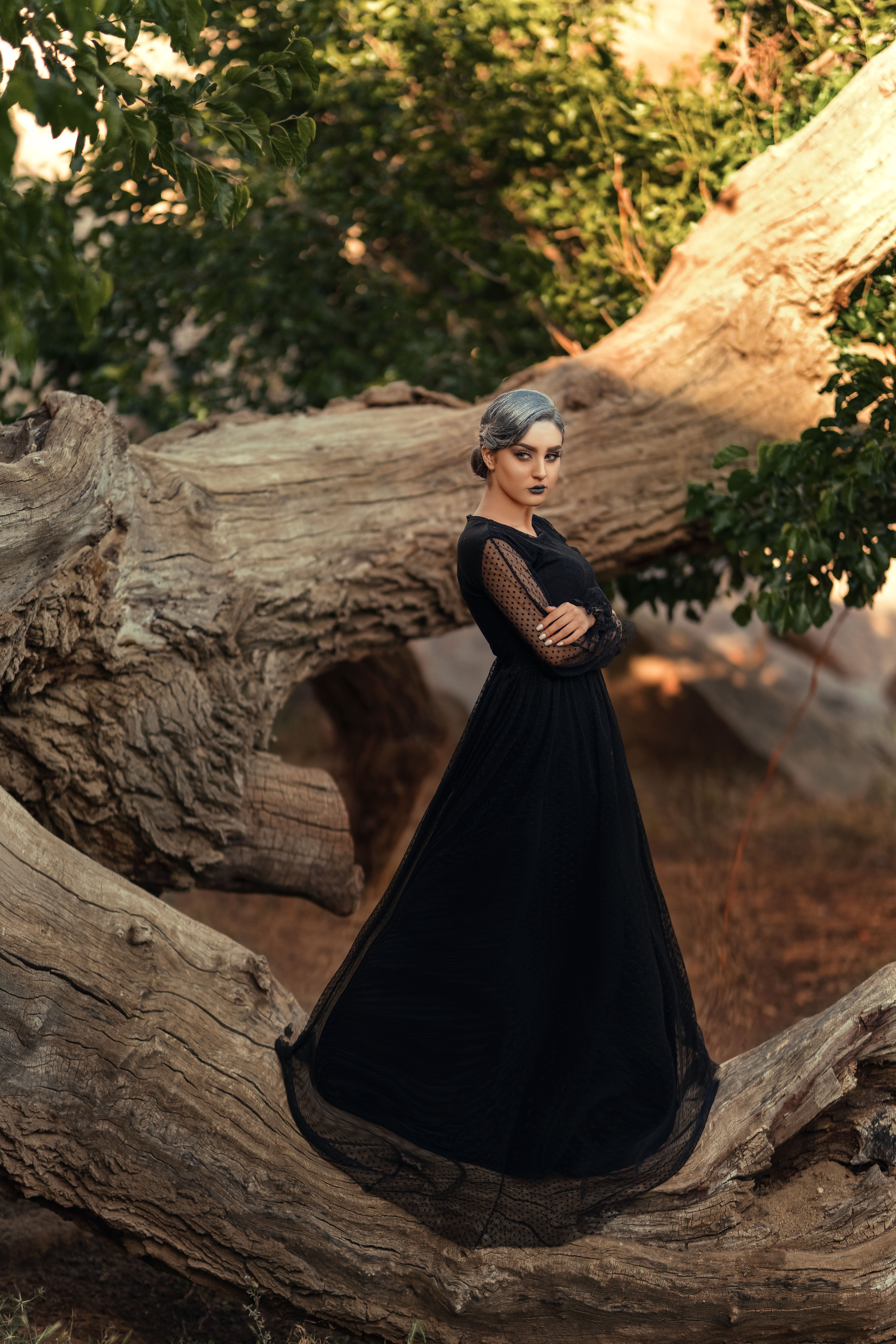 Woman in Black Dress Standing on a Tree · Free Stock Photo