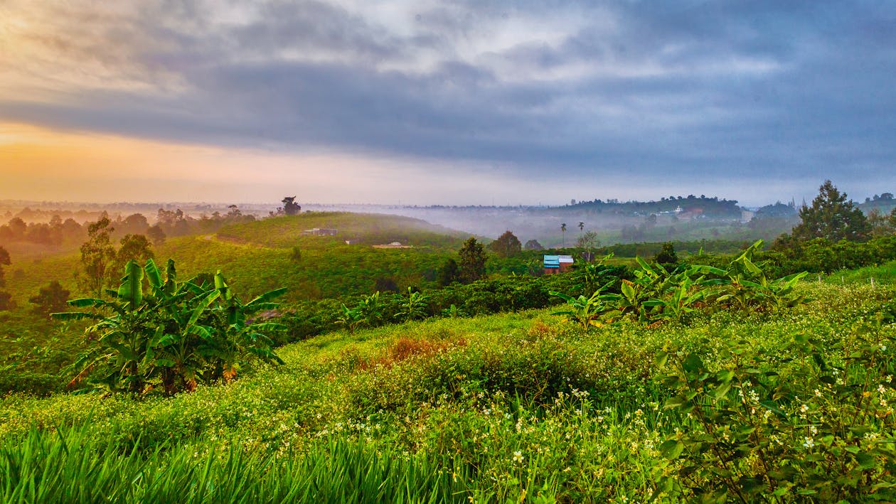 đàlạt, 天空, 景觀 的 免費圖庫相片