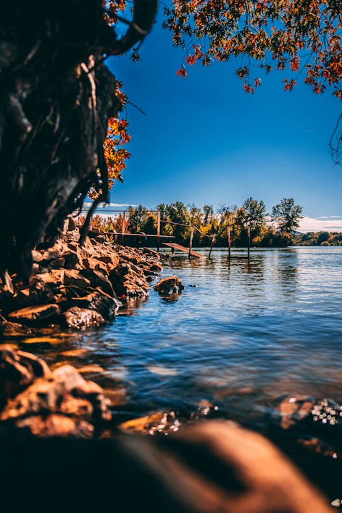 200,000+ Best Nature View Photos · Free Download · Pexels Photos