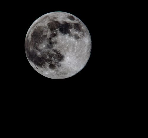 Free Detailed image of the full moon with visible craters against a black sky. Stock Photo