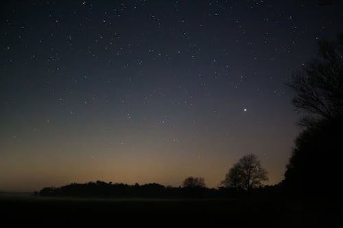 ağaçlar, akşam, astronomi içeren Ücretsiz stok fotoğraf