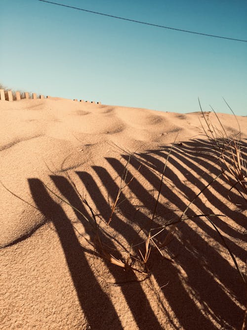 Fotos de stock gratuitas de arena de playa, Duna de arena, hermosa naturaleza