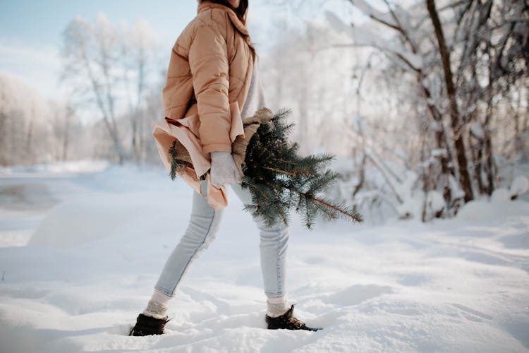 Woman With Spruce Branches Walking In Snow