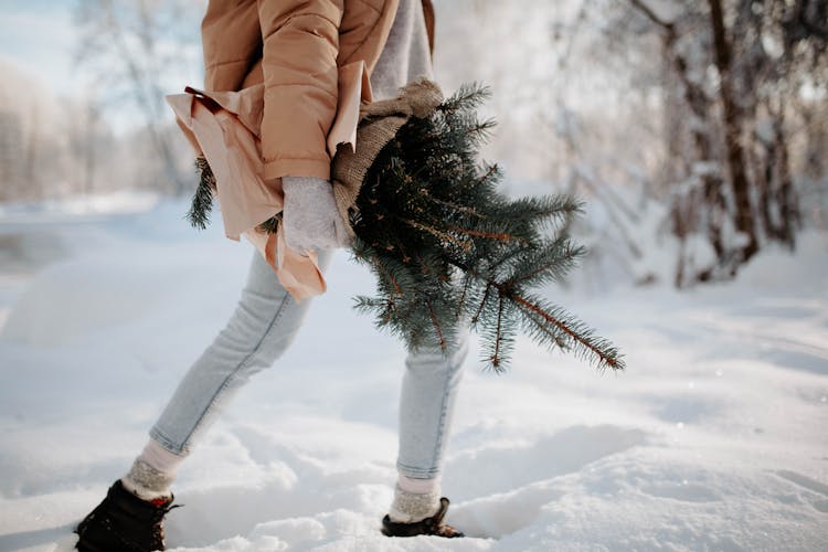 Woman With Spruce Branches Walking In Snow