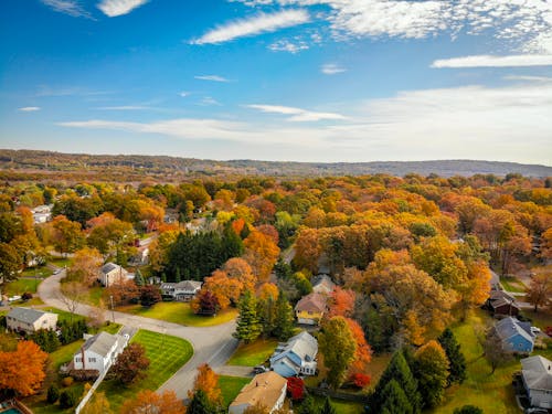 Free Aerial Photography of Houses Surrounded by Trees Stock Photo