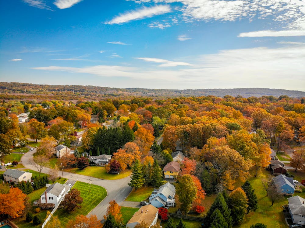 6 Amazing And Must - Visit Small Towns In Alabama 10 Free Aerial Photography of Houses Surrounded by Trees Stock Photo
