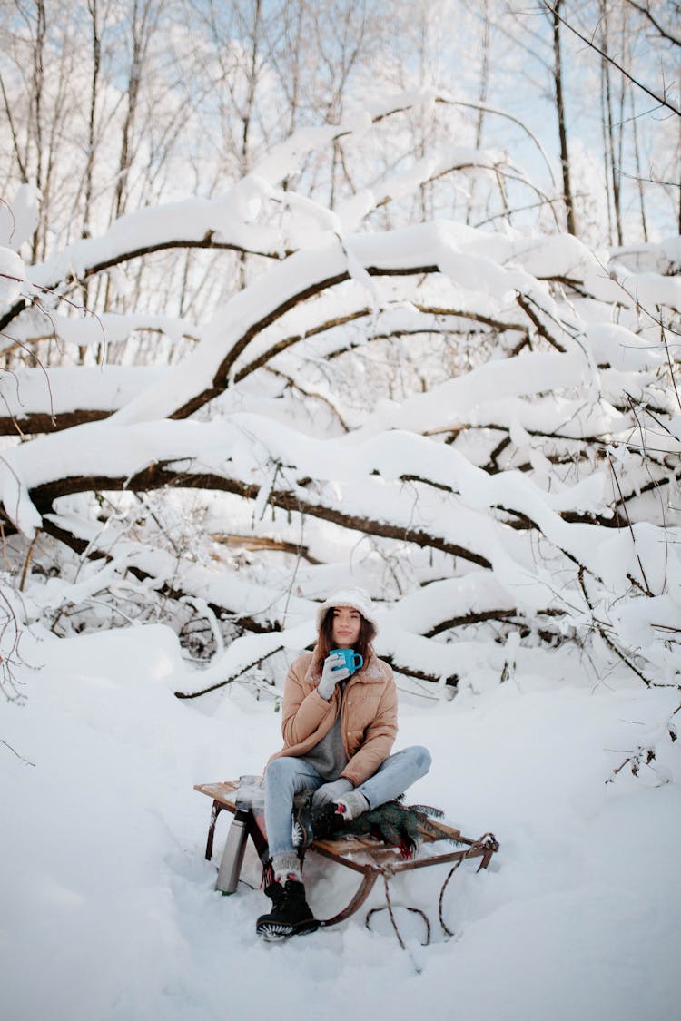 Woman Sitting On Sleight With Tea On Winter Day