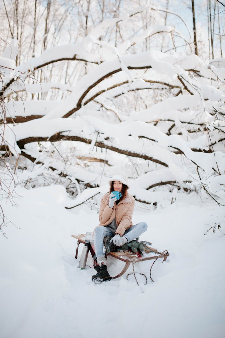 Woman Sitting On Sleight With Tea On Winter Day