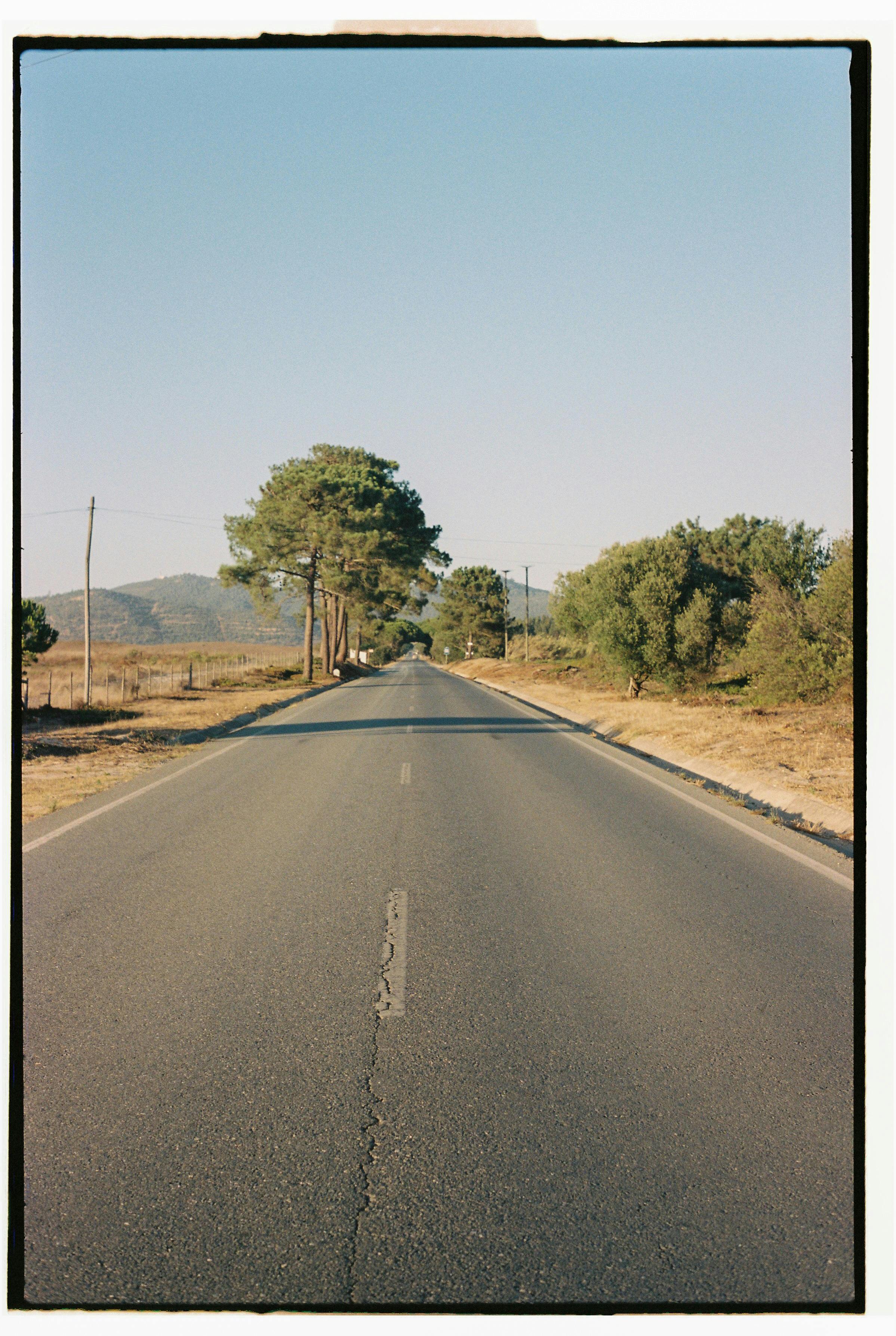 Empty road in Vila Nova de Milfontes bordered by trees, capturing a tranquil rural summer scene.