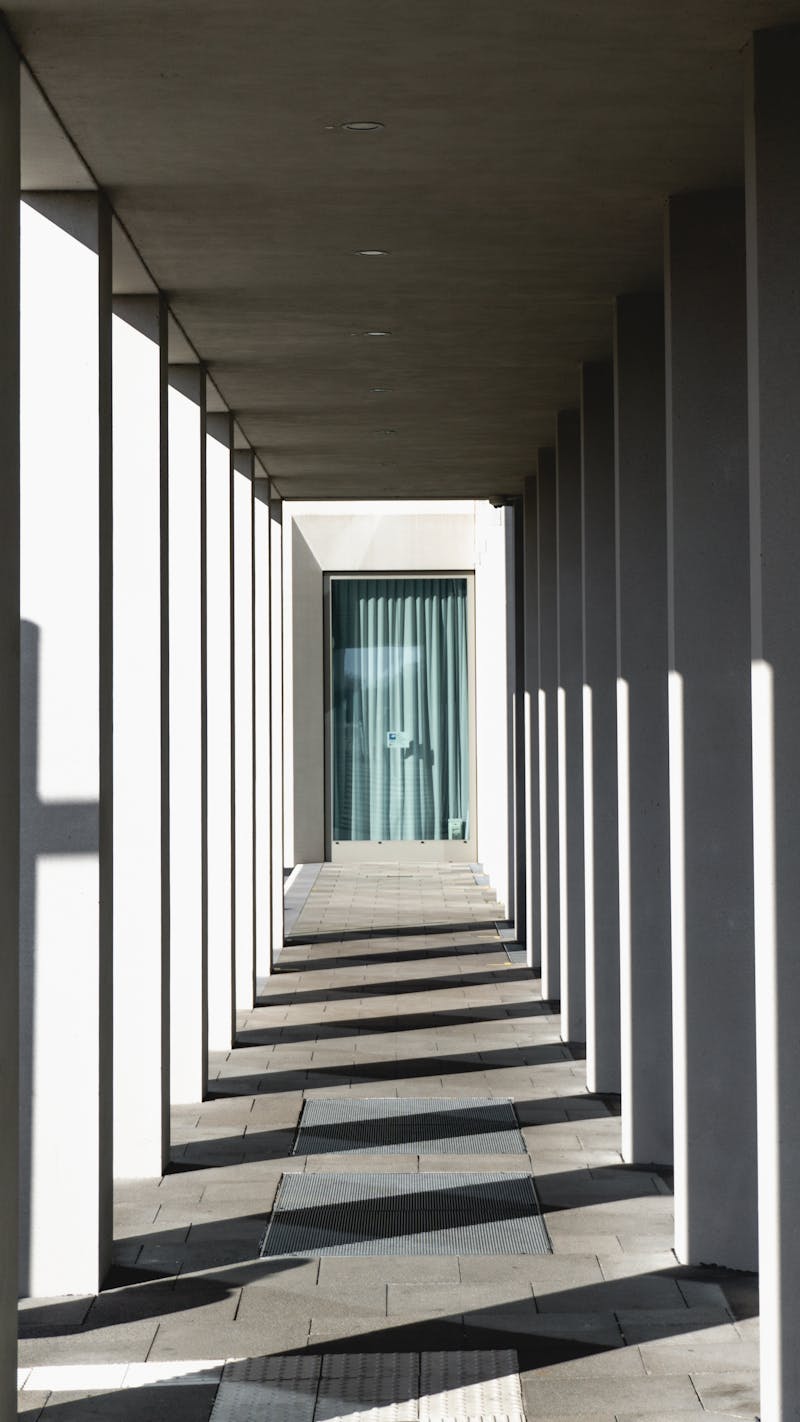 Collection Highlight 2