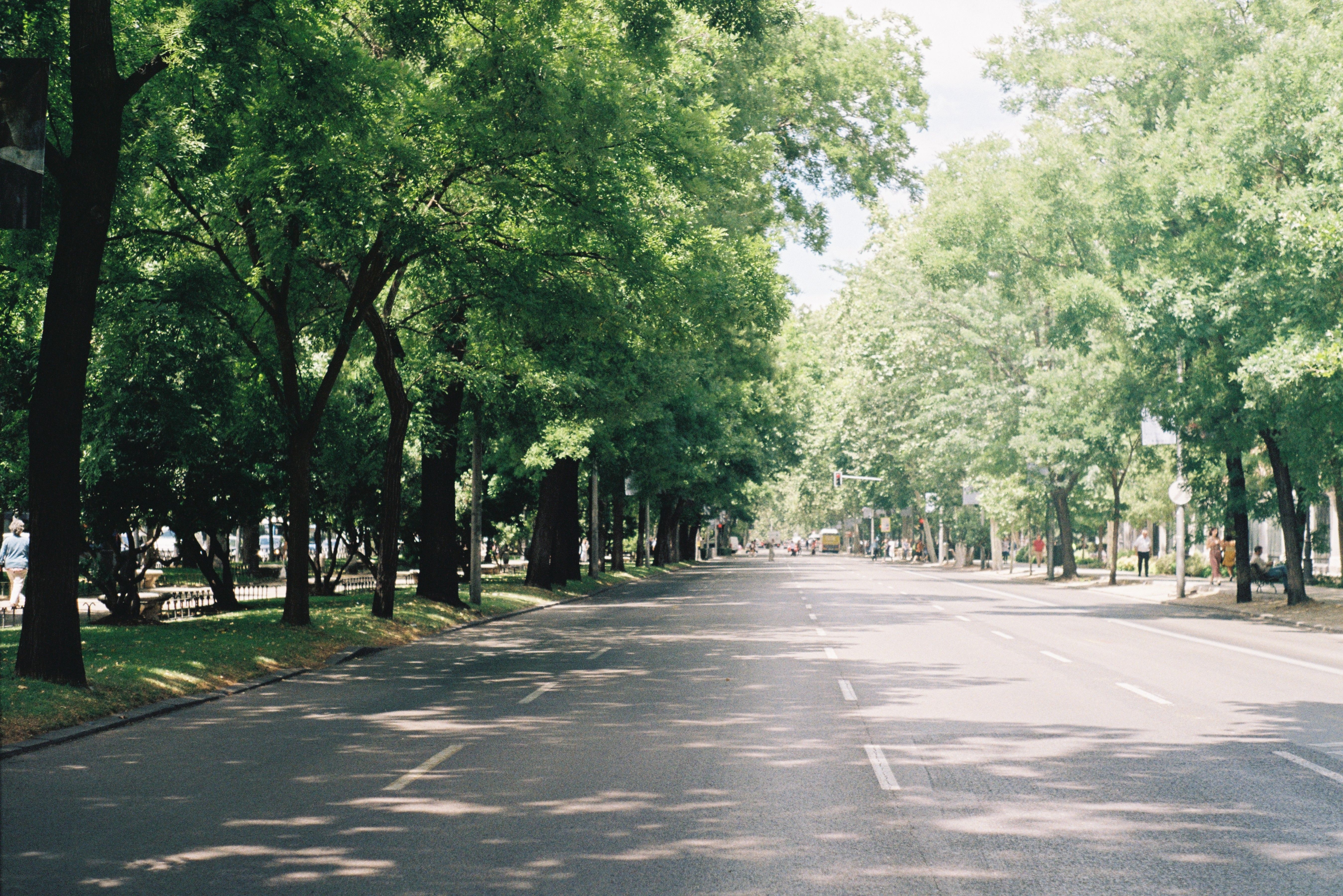 People enjoying a sunny summer day in Chisinau, Moldova, with green trees