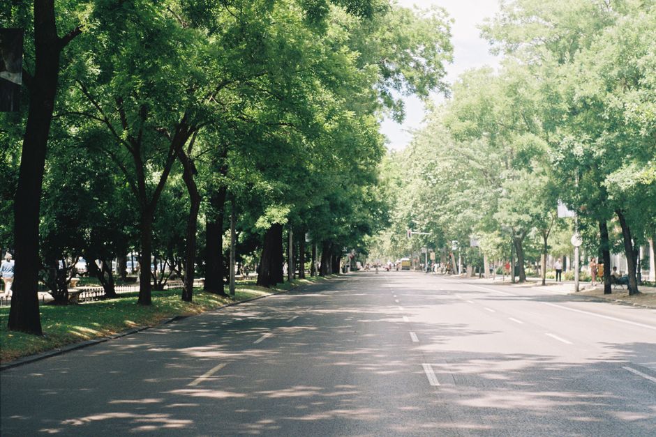 People enjoying a sunny summer day in Chisinau, Moldova, with green trees