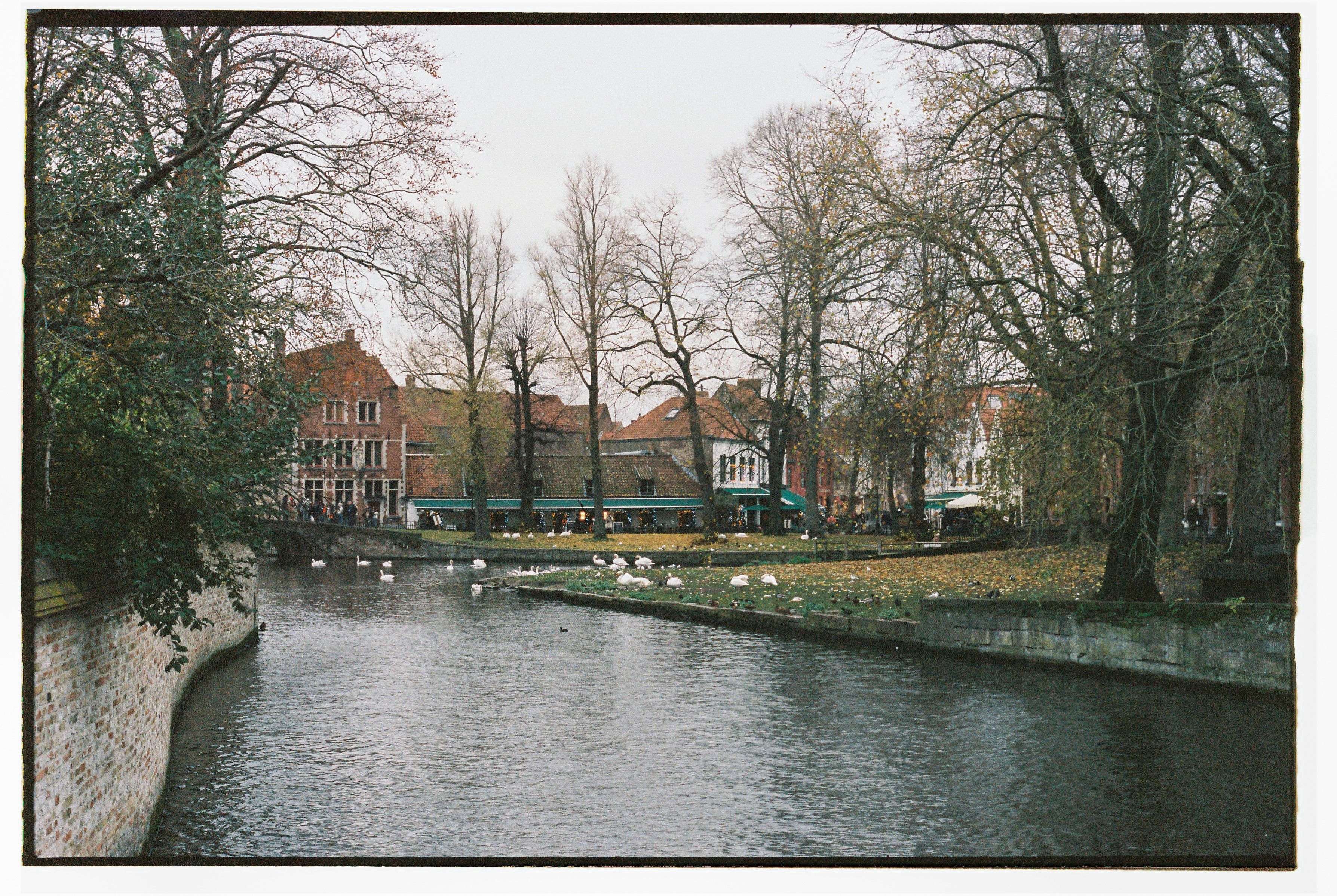 Boudewijn Seapark