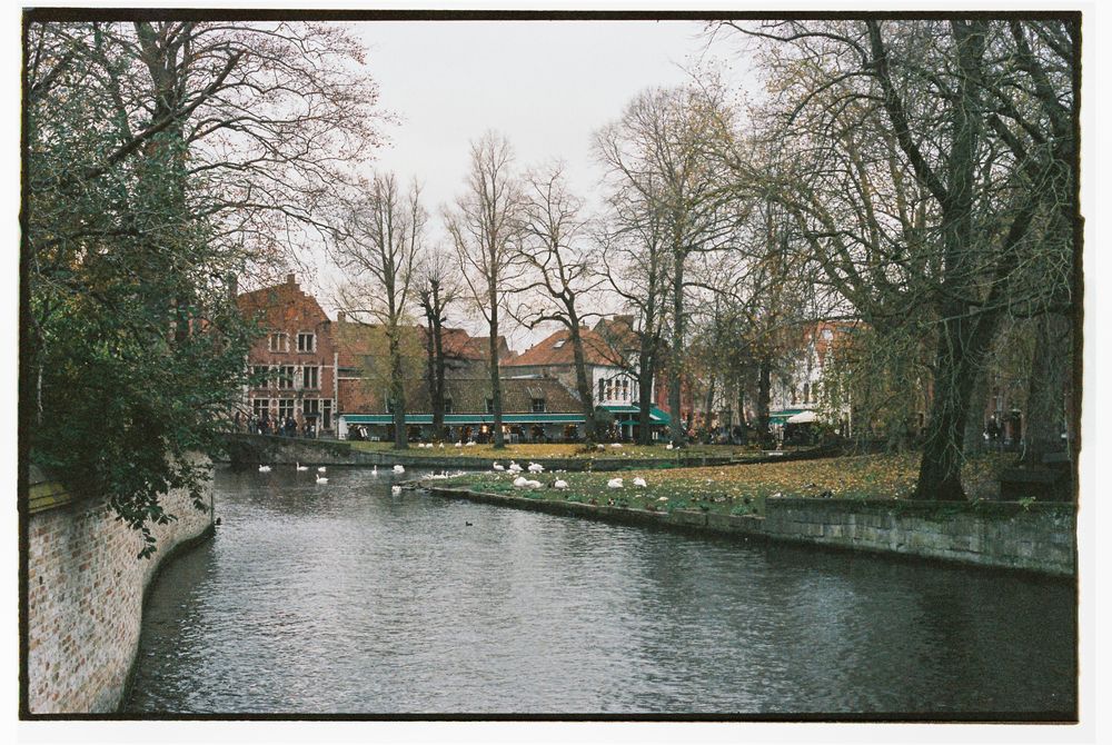Parc verde cu copaci și apă în Bruges, Belgia