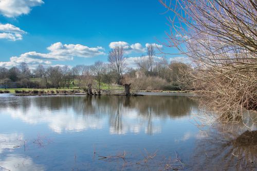 Free Peaceful rural lake with trees and reflections on a calm autumn day. Stock Photo