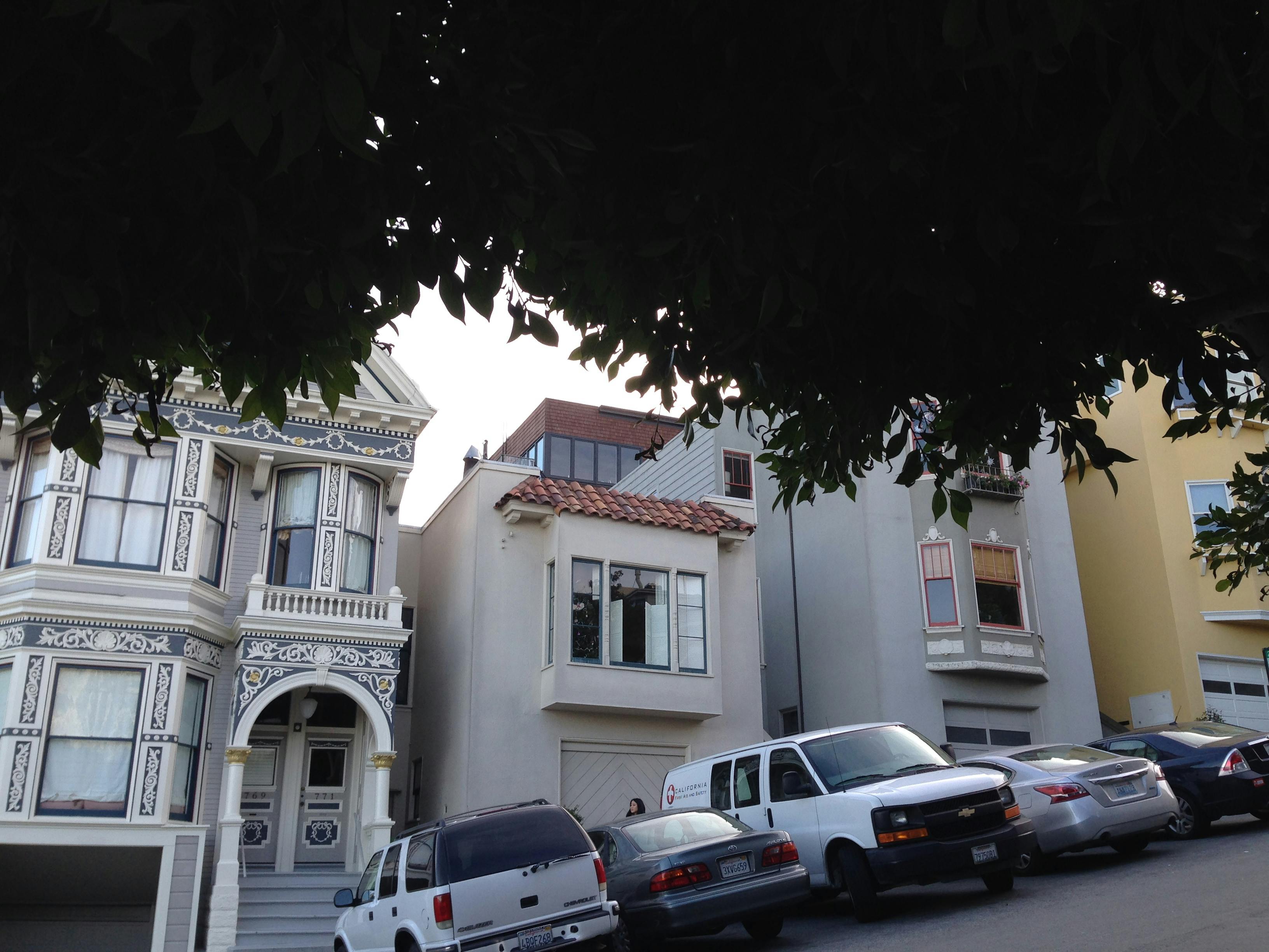 Forest trail hiking path