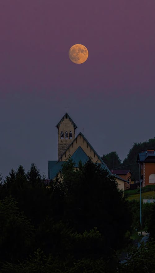 교회, 나무, 달의 무료 스톡 사진