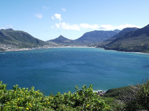 Hout Bay Viewed from Chapmans Peak Drive in Cape Town, South Africa