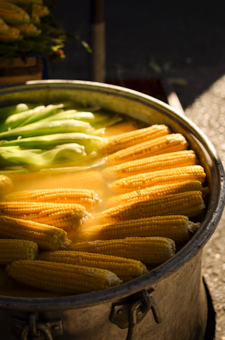 Corncobs Boiling In Big Pot