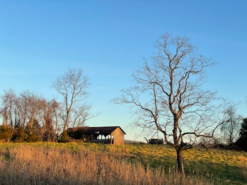 小屋, 晴朗的天空, 木製建築 的 免費圖庫相片