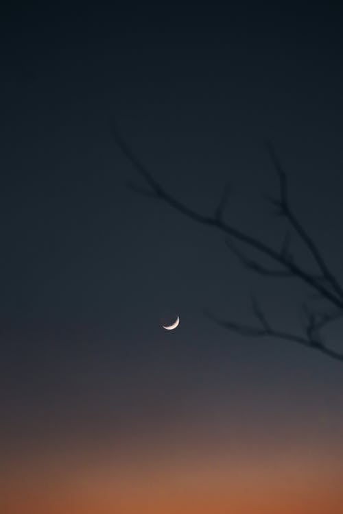 Crescent Moon at Dusk