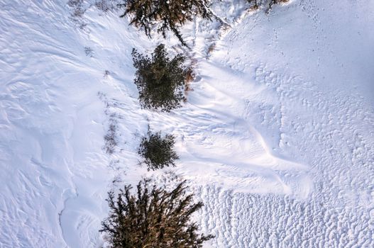 Aerial view of snow-covered landscape with scattered trees in winter.