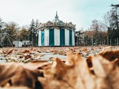 宁静的公园里，一座复古旋转木马异想天开，被五彩缤纷的秋叶包围