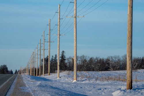 Photo of a Row of Utility Poles in Winter