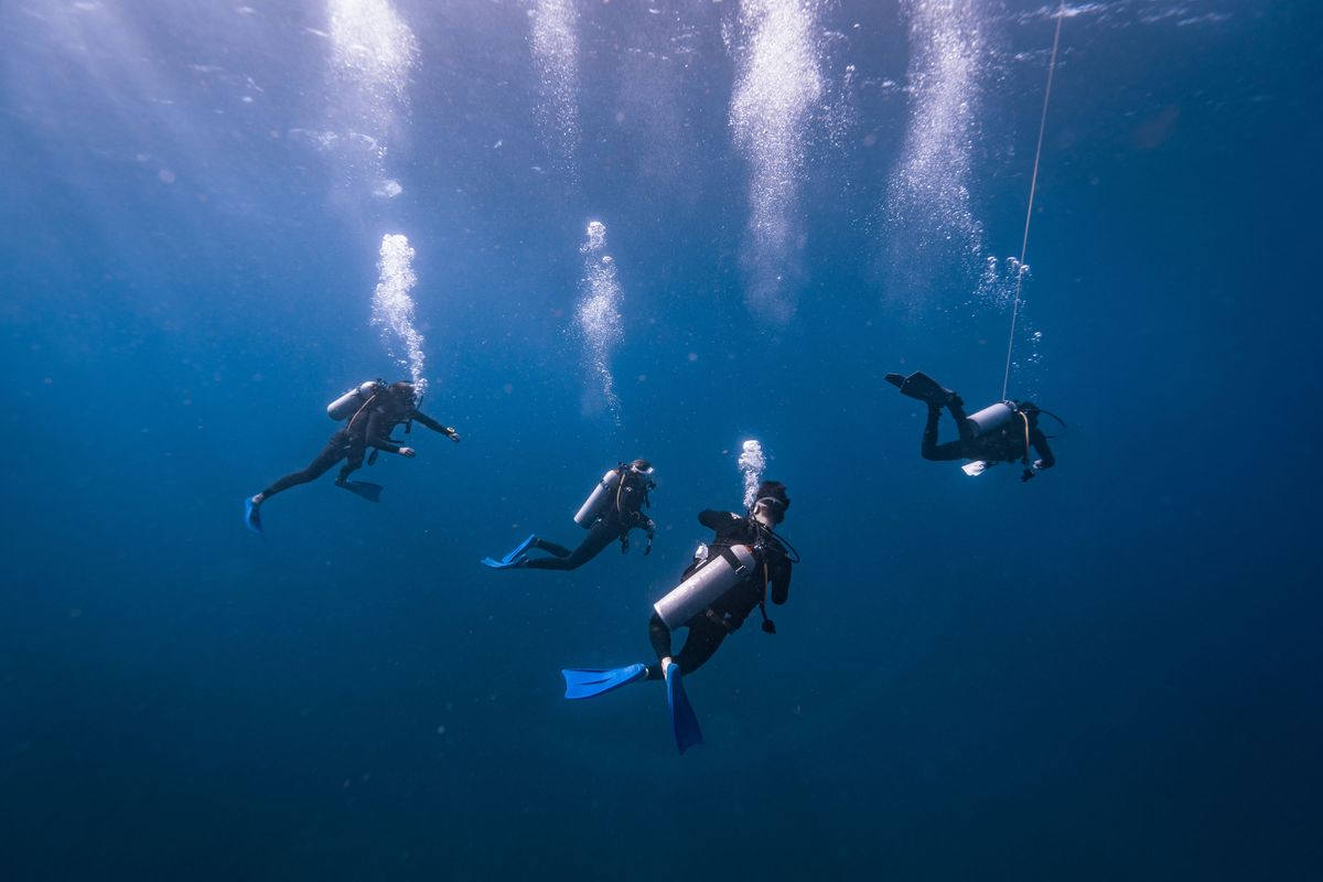 Group of scuba divers descending together