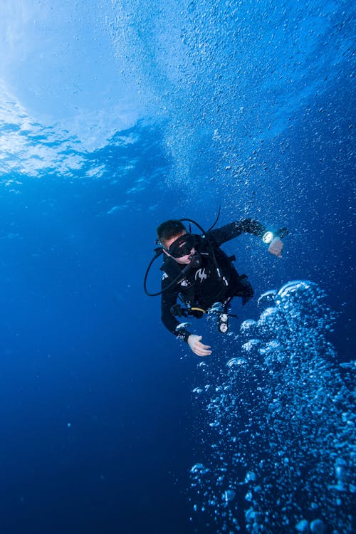 Foto profissional grátis de água, embaixo da água, esportes aquáticos