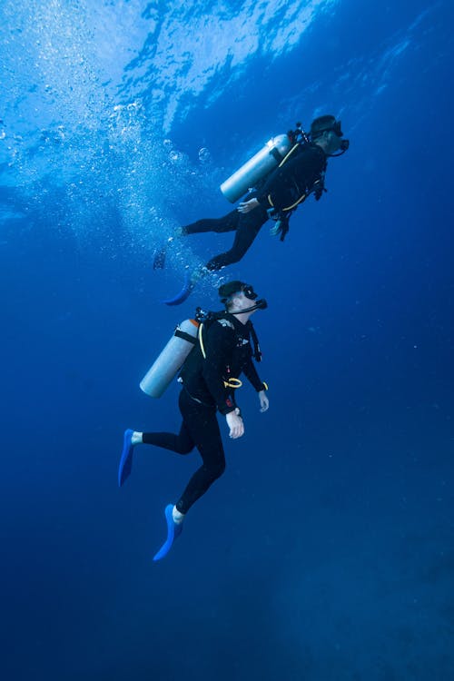 Immagine gratuita di acqua, immersione, mare