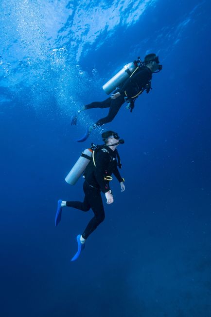 Two scuba divers explore the vibrant underwater world off Isla Mujeres, Mexico.