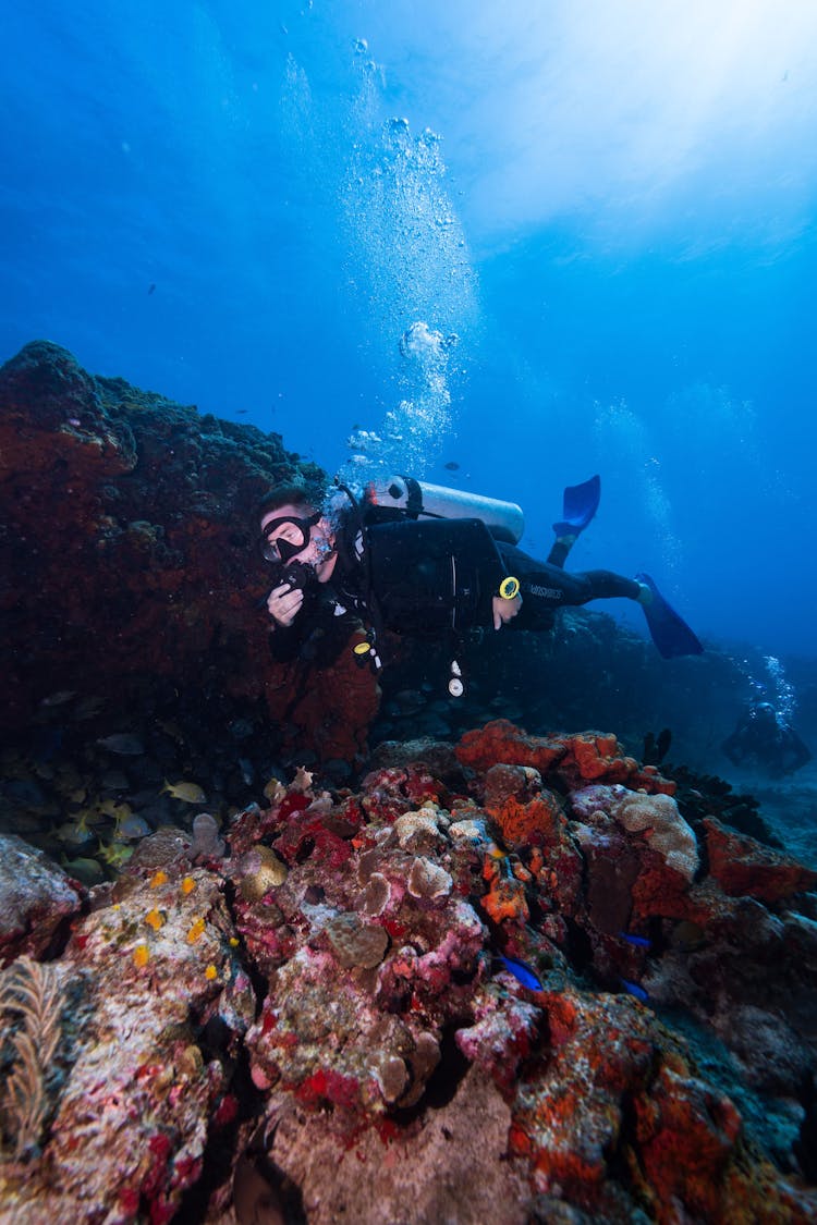 Scuba Diver With Equipment Near Coral Reef