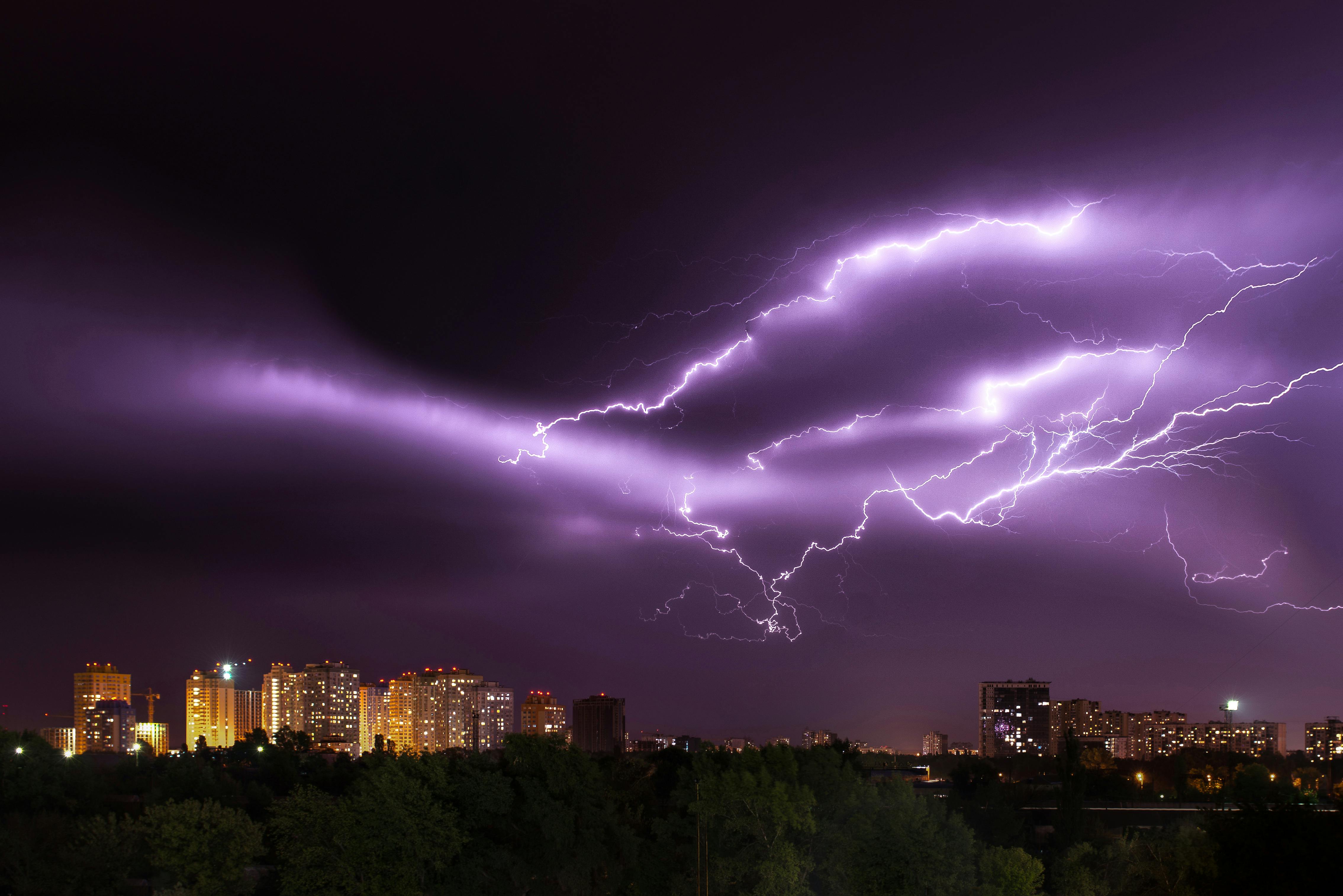 purple lightning pants