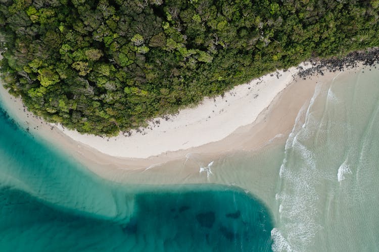 Tropical Island Beach By Forest 